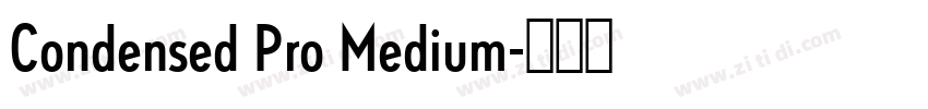 Condensed Pro Medium字体转换